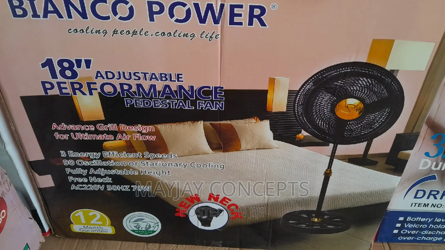 Electric Standing Fan