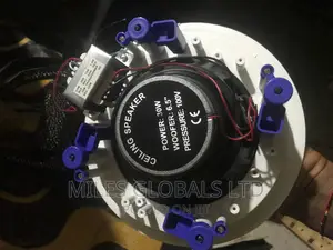 Dart 30watts Ceiling Speaker