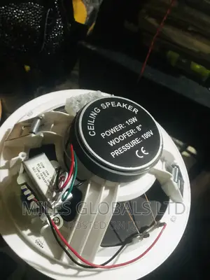Dart Speaker Ceiling Speaker