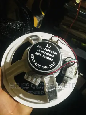 Dart Speaker Ceiling Speaker