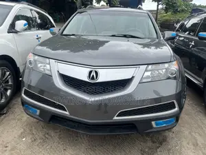 Acura MDX 2010 Gray