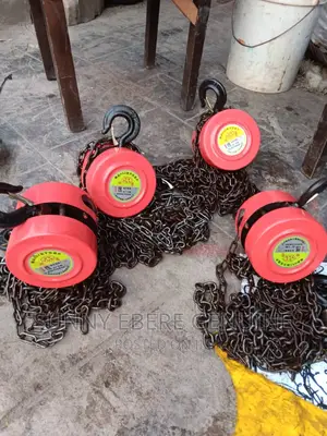 Chain Block Chain Hoist