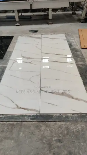 60 by 120 Floor Tiles