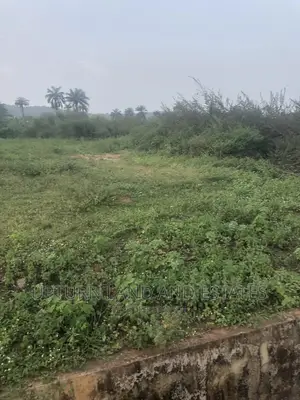 200 Acres of Farmland for Sale at Cheaper Price in Iseyin