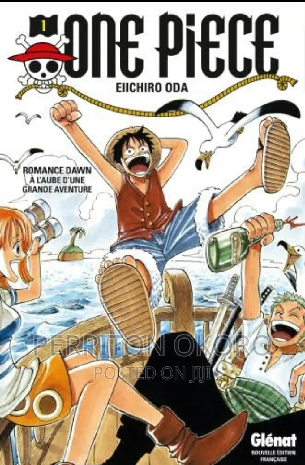 One Piece Anime (Over 1000 Episodes.)