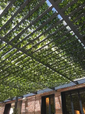 Garden Pergola.