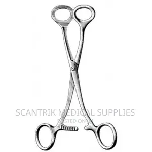 Hospital Tongue Holding Forceps 19cm