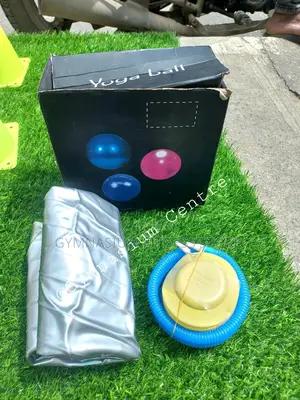 GYM Ball With Pump 65cm G5690