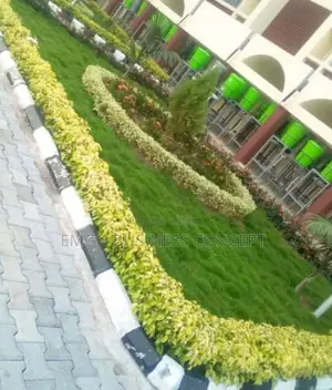 Flower Plants