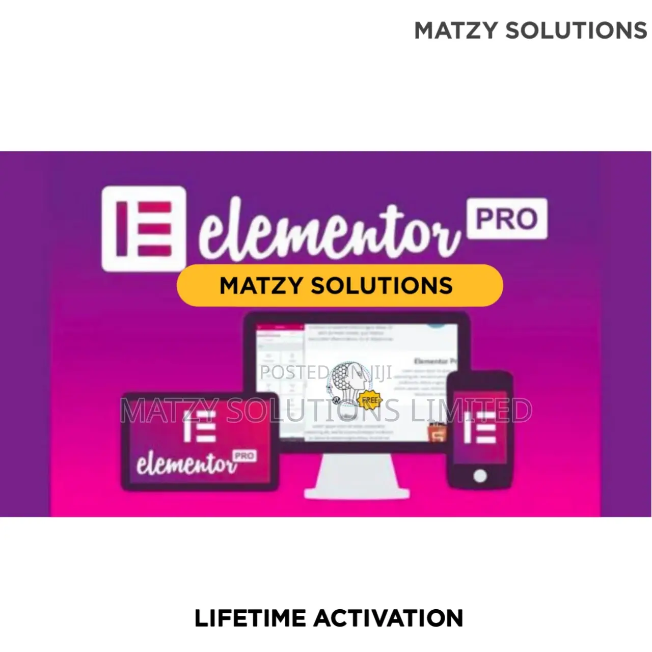 Elementor PRO Wordpress Plugin (Lifetime Activation)