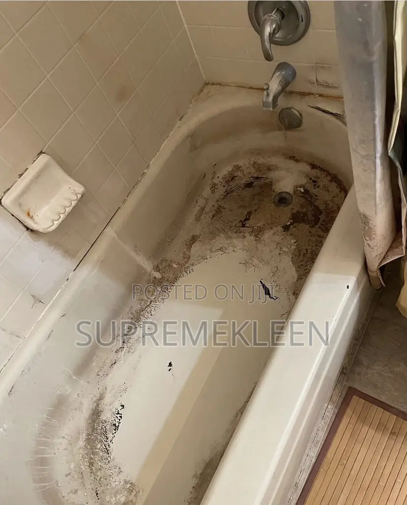 A Satisfying Deep Cleaning Service