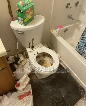 A Satisfying Deep Cleaning Service