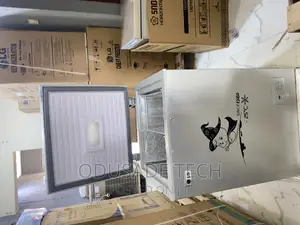 LG Gc160 100liters Chest Freezer