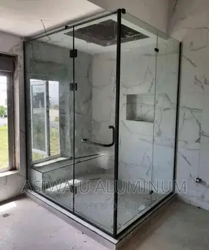 Frameless Bathroom Sawyer Cubicle