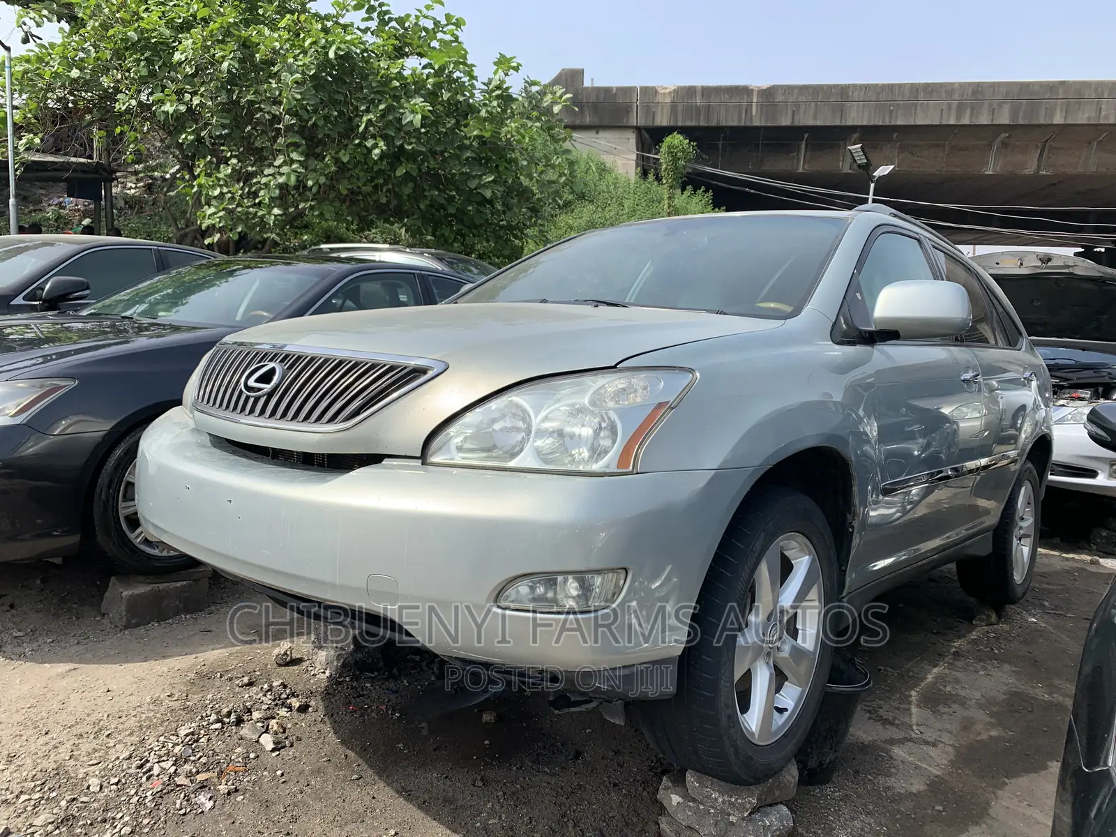 Lexus RX 2006 Teal
