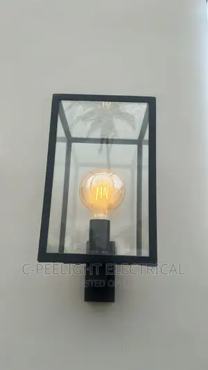 LED Filament Bulb
