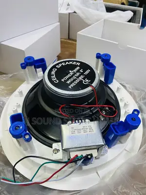 Quality 40watt Ceiling Speakers