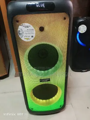 Modern Day Professional Party Box Speaker System