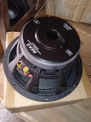 Original 10”Naked Speaker (Rk1003)