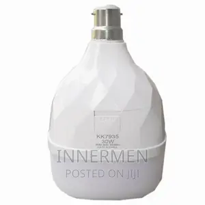 Lumentor Multi-Functional Led Emergency Bulb