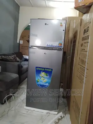 LG GC 389 Double Door Refrigerator+Shelves