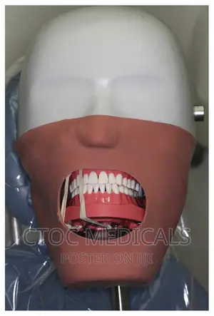 Phantom Head Dental