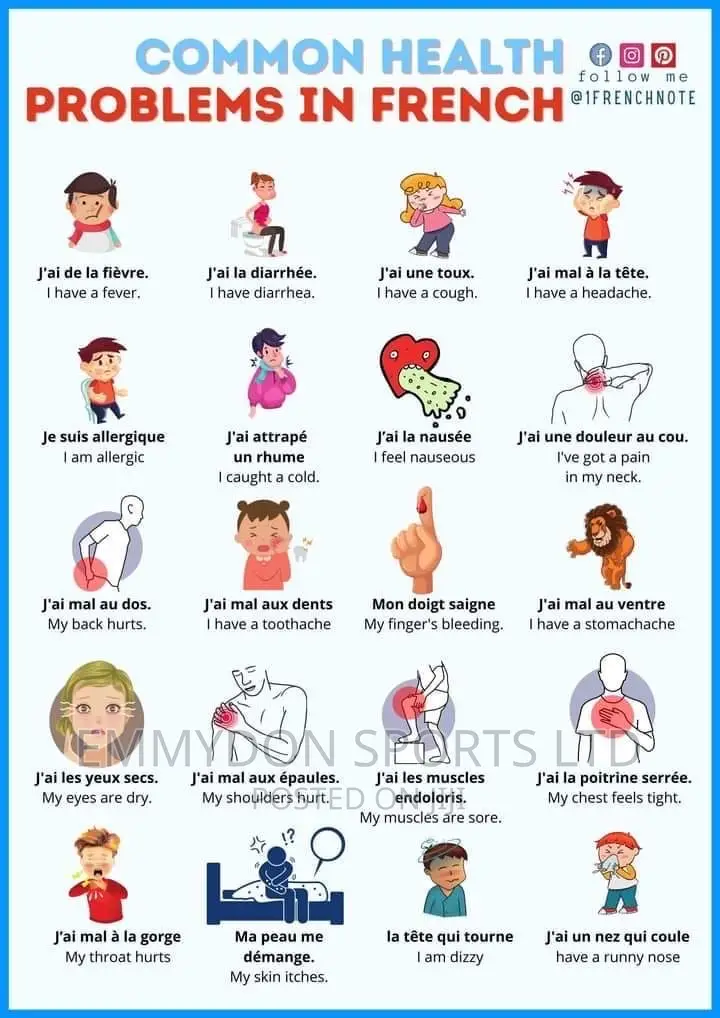 French Tutor, FLE/TEF/DELF/DALF