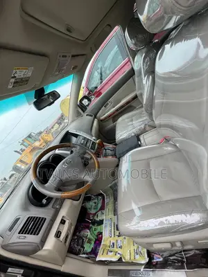 Lexus RX 350 AWD 2009 Gray