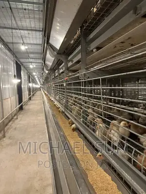 Battery Cage Poultry Cage