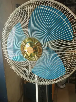 Panasonic Luxury Fan