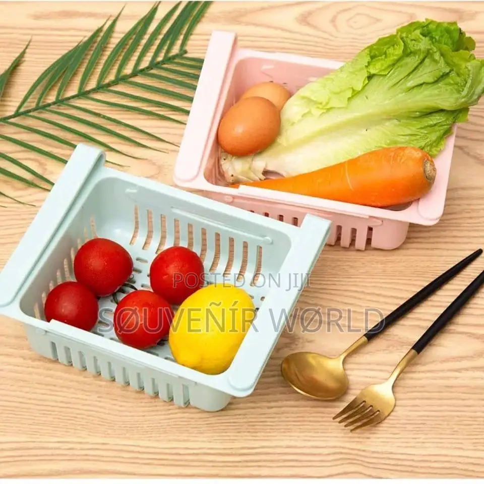 Storage Fridge