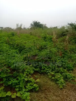 A Plot of Land at Sooil Plaza Emene for Sale at 5.5m.