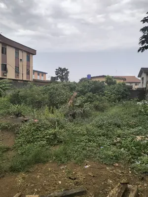 Dry Table Land Off the Major Road at Ikotun Idimu Road