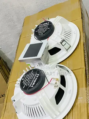 High Quality Ceiling Speakers With Amplifier