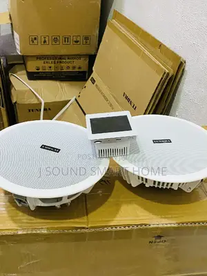 High Quality Ceiling Speakers With Amplifier
