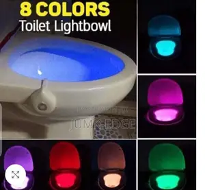 Light Bowl Toilet Light