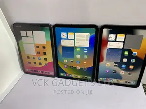 Apple iPad mini 6 64 GB Gray