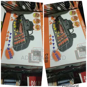 Electric BBQ Grill