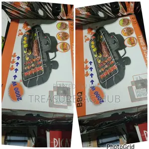 Electric BBQ Grill