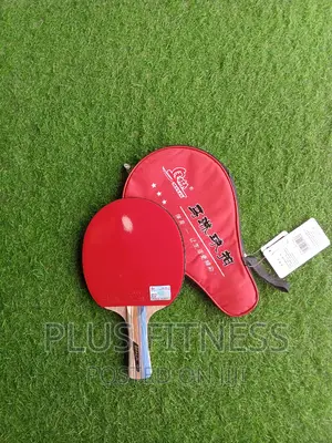 Three Star Table Tennis Bat