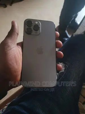 Apple iPhone 13 Pro Max 256 GB Gray