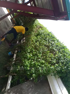 Maintenance Services