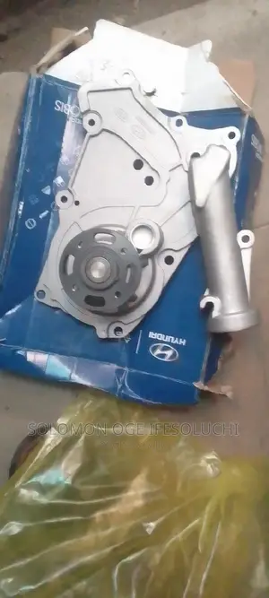 Hyundai Santa Fe V6 Water Pump 014 Model