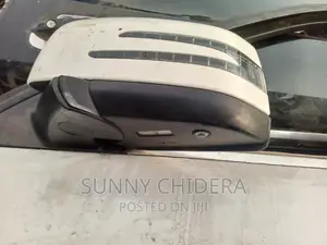GLE Side Mirror With Camera  Each Side