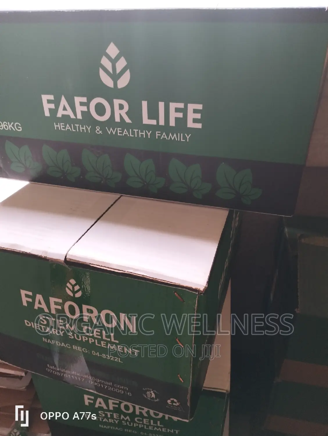Faforon Stem Cells Tat Build Immune System After Sickness