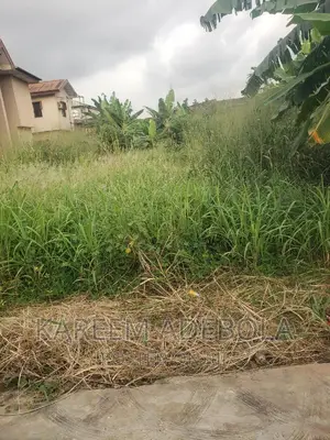 1000sqm of Land for Sale at Orange Estate Lekki
