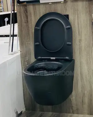 Matte Black Conceal Watercloset