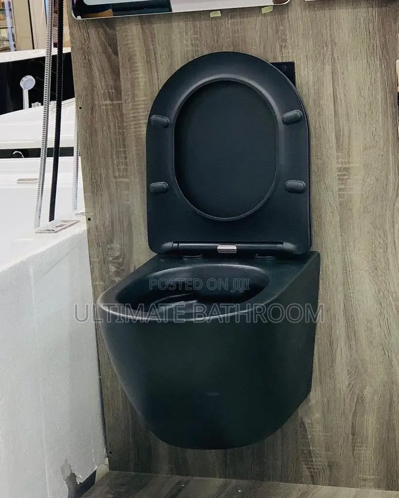 Matte Black Conceal Watercloset