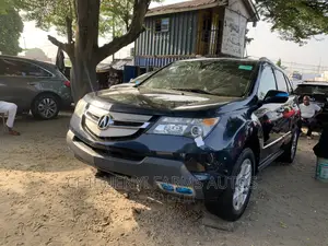 Acura MDX 2009 Blue