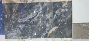 60 X 120 Polished Tiles